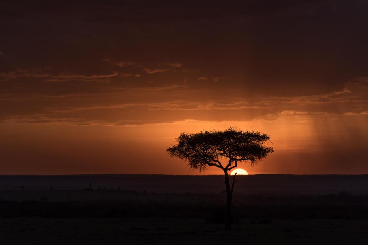 Вілла Africa Safari Maasai Boma Серенгеті Екстер'єр фото